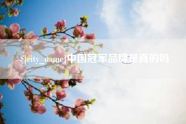 永兴中国冠军品牌是真的吗