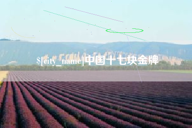 永兴中国十七块金牌