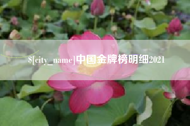 永兴中国金牌榜明细2021