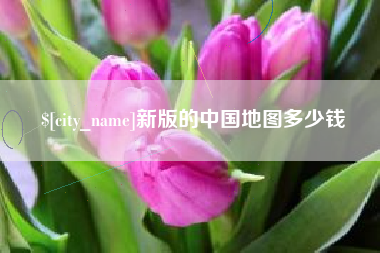 永兴新版的中国地图多少钱