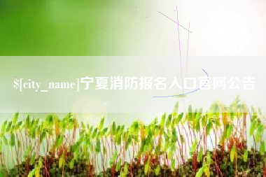 永兴宁夏消防报名入口官网公告