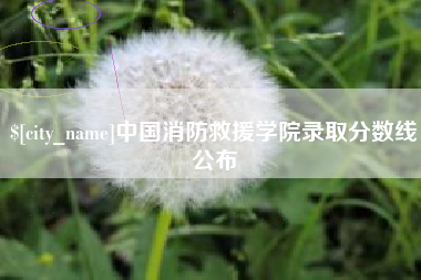 永兴中国消防救援学院录取分数线公布