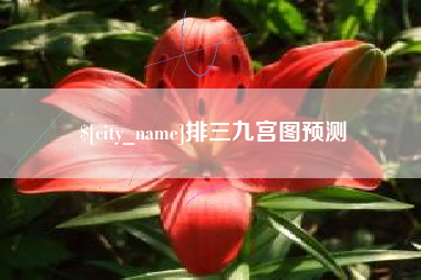 永兴排三九宫图预测