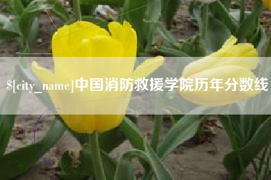 永兴中国消防救援学院历年分数线