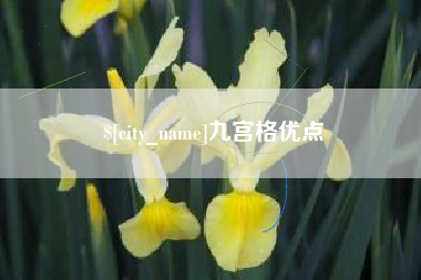 永兴九宫格优点