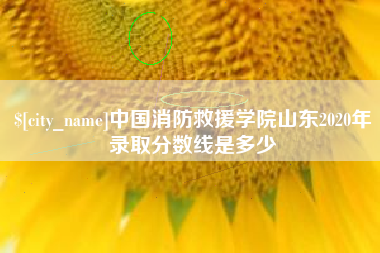 永兴中国消防救援学院山东2020年录取分数线是多少