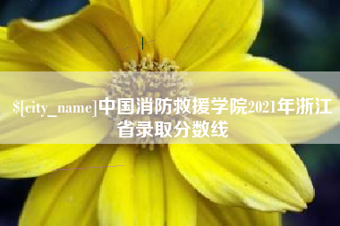 永兴中国消防救援学院2021年浙江省录取分数线
