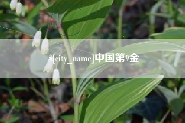 永兴中国第9金