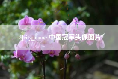 永兴中国冠军头像图片