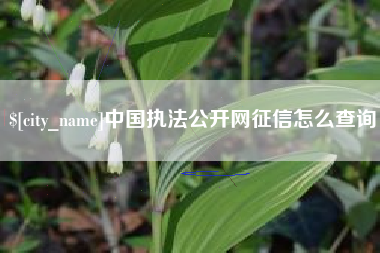 永兴中国执法公开网征信怎么查询
