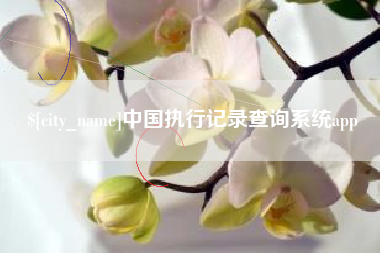 永兴中国执行记录查询系统app