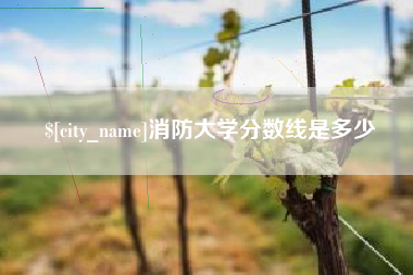 永兴消防大学分数线是多少