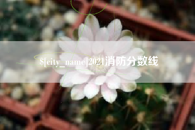 永兴2021消防分数线