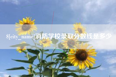 永兴消防学校录取分数线是多少