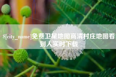 永兴免费卫星地图高清村庄地图看到人实时下载