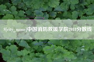 永兴中国消防救援学院2018分数线