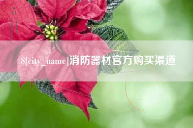 永兴消防器材官方购买渠道