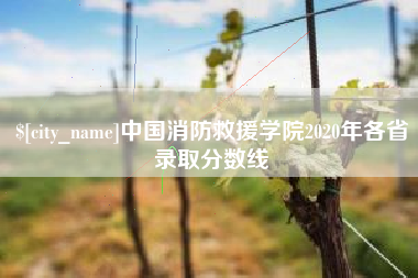 永兴中国消防救援学院2020年各省录取分数线