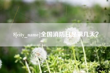 永兴全国消防日是第几天？