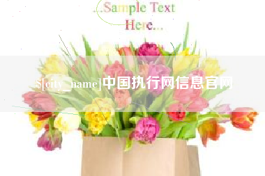 永兴中国执行网信息官网