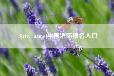永兴中国消防报名入口