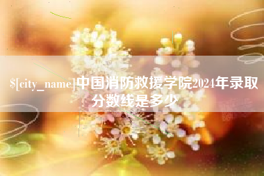 永兴中国消防救援学院2024年录取分数线是多少