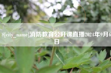 永兴消防教育公开课直播2024年9月6日