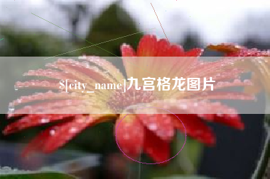 永兴九宫格龙图片