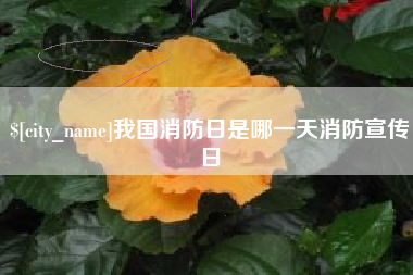 永兴我国消防日是哪一天消防宣传日
