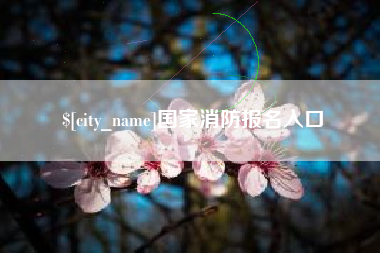 永兴国家消防报名入口