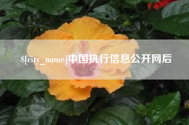 永兴中国执行信息公开网后