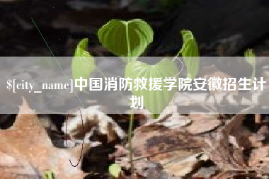永兴中国消防救援学院安徽招生计划