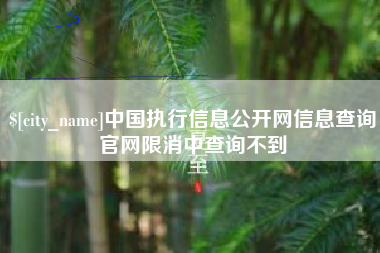 永兴中国执行信息公开网信息查询官网限消中查询不到