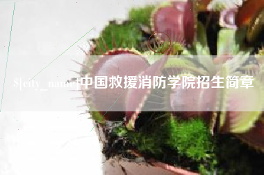 永兴中国救援消防学院招生简章