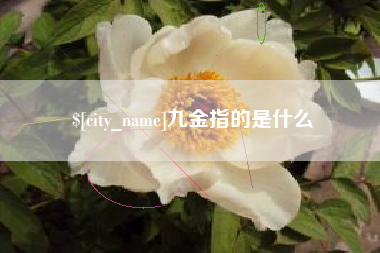 永兴九金指的是什么