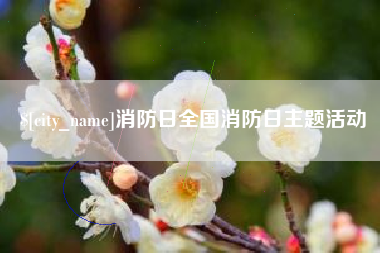 永兴消防日全国消防日主题活动