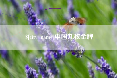 永兴中国九枚金牌