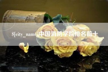 永兴中国消防学院排名前十