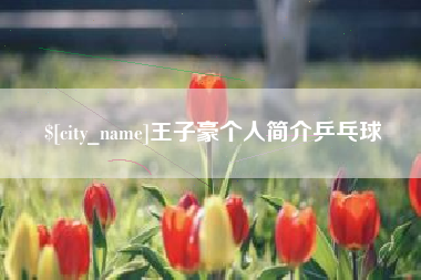 永兴王子豪个人简介乒乓球