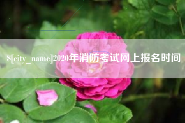 永兴2020年消防考试网上报名时间