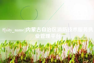 永兴内蒙古自治区消防技术服务执业管理平台