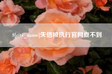 永兴失信被执行官网查不到