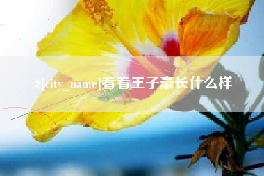 永兴看看王子豪长什么样