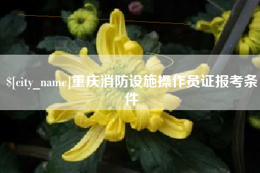 永兴重庆消防设施操作员证报考条件