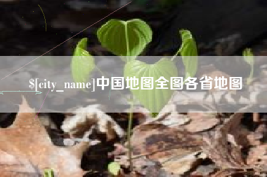 永兴中国地图全图各省地图