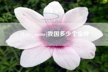 永兴我国多少个金牌