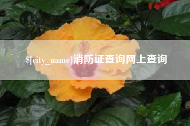 永兴消防证查询网上查询