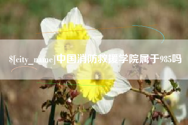 永兴中国消防救援学院属于985吗