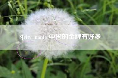 永兴中国的金牌有好多