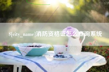 永兴消防资格证怎么查询系统
